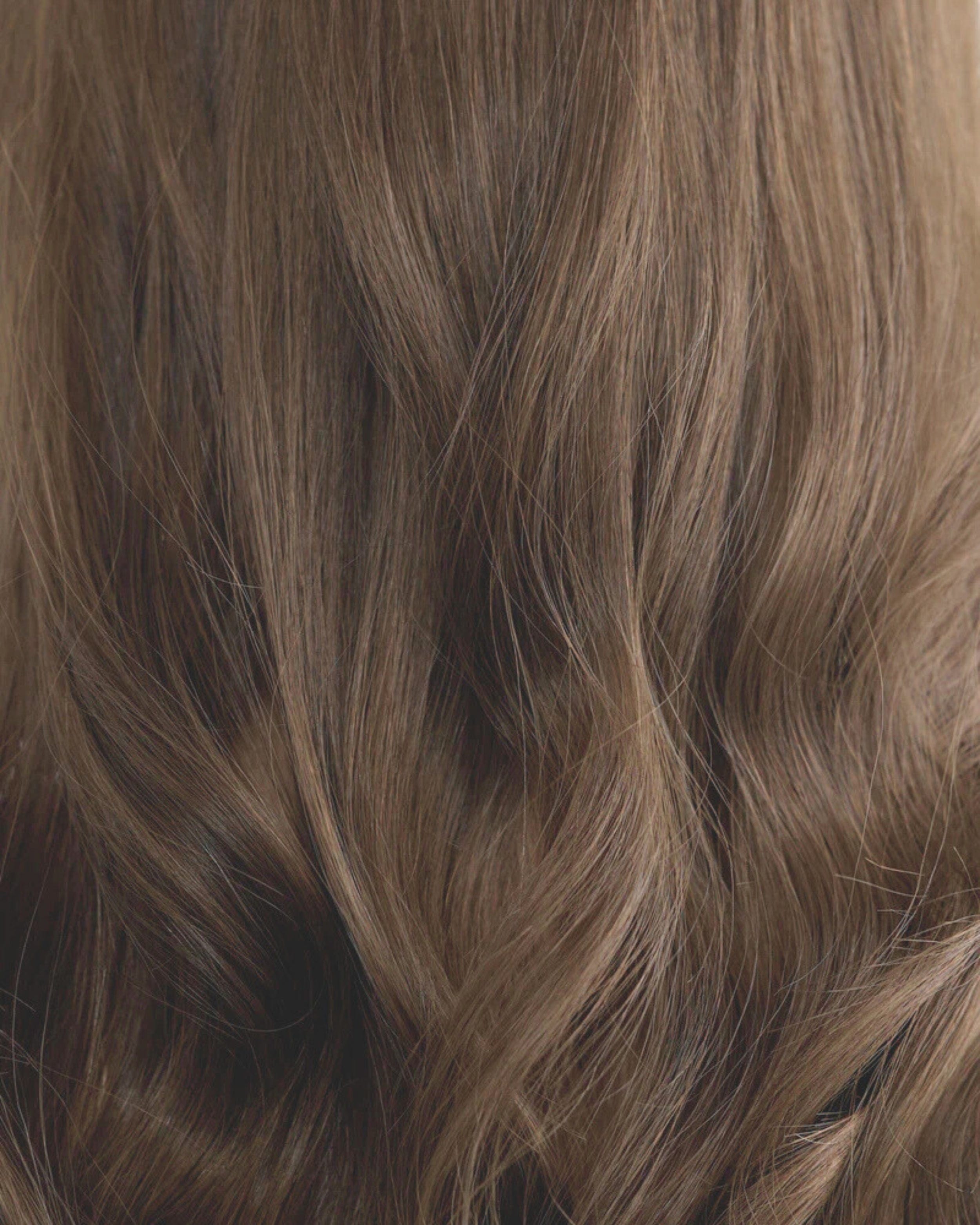 Brunette Mousse // Illusion Lace Topper