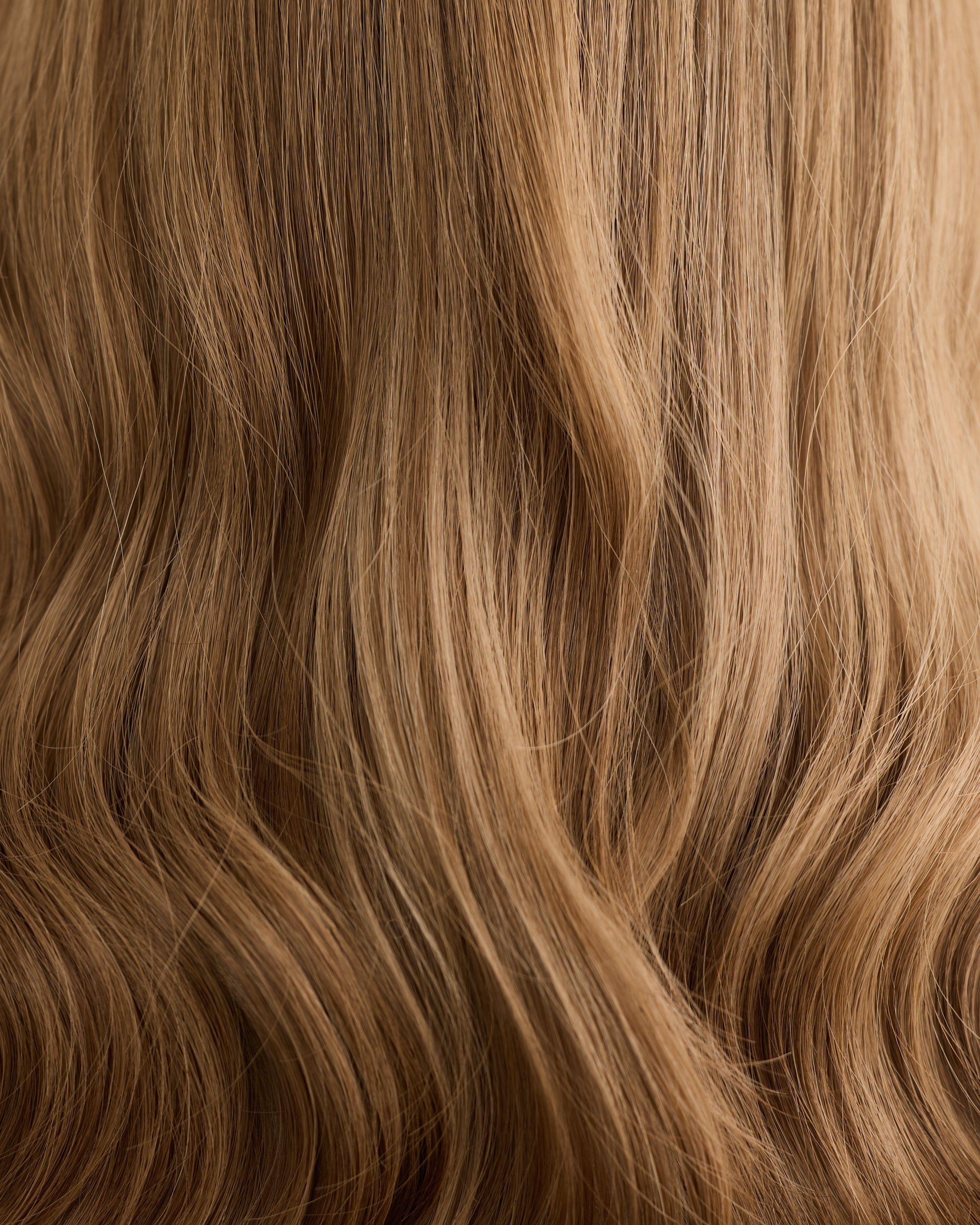 Brunette Sugar // Illusion Lace Topper