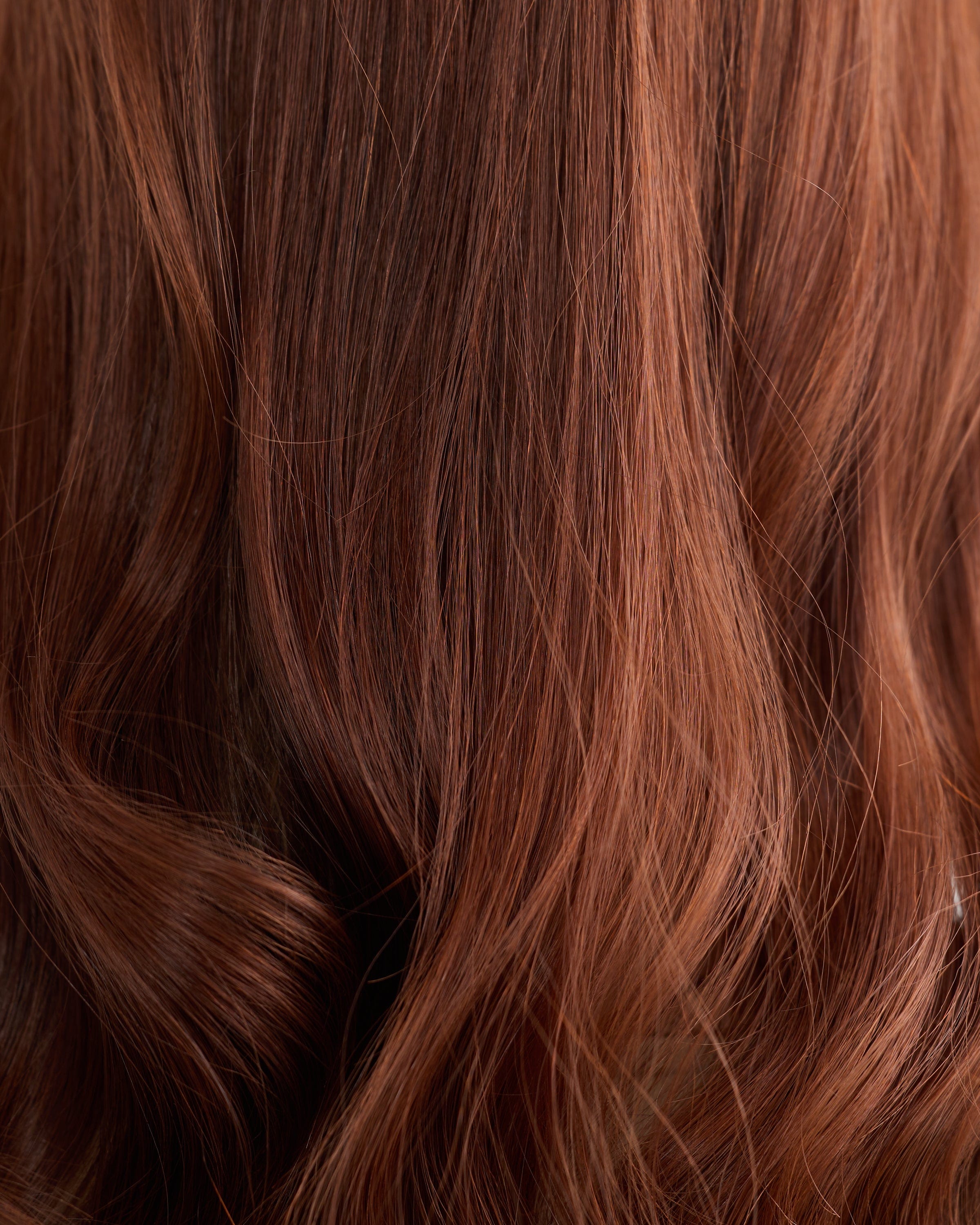 Royal Velvet // Illusion Lace Topper