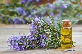Is Rosemary Oil a Cure for Hair Loss?