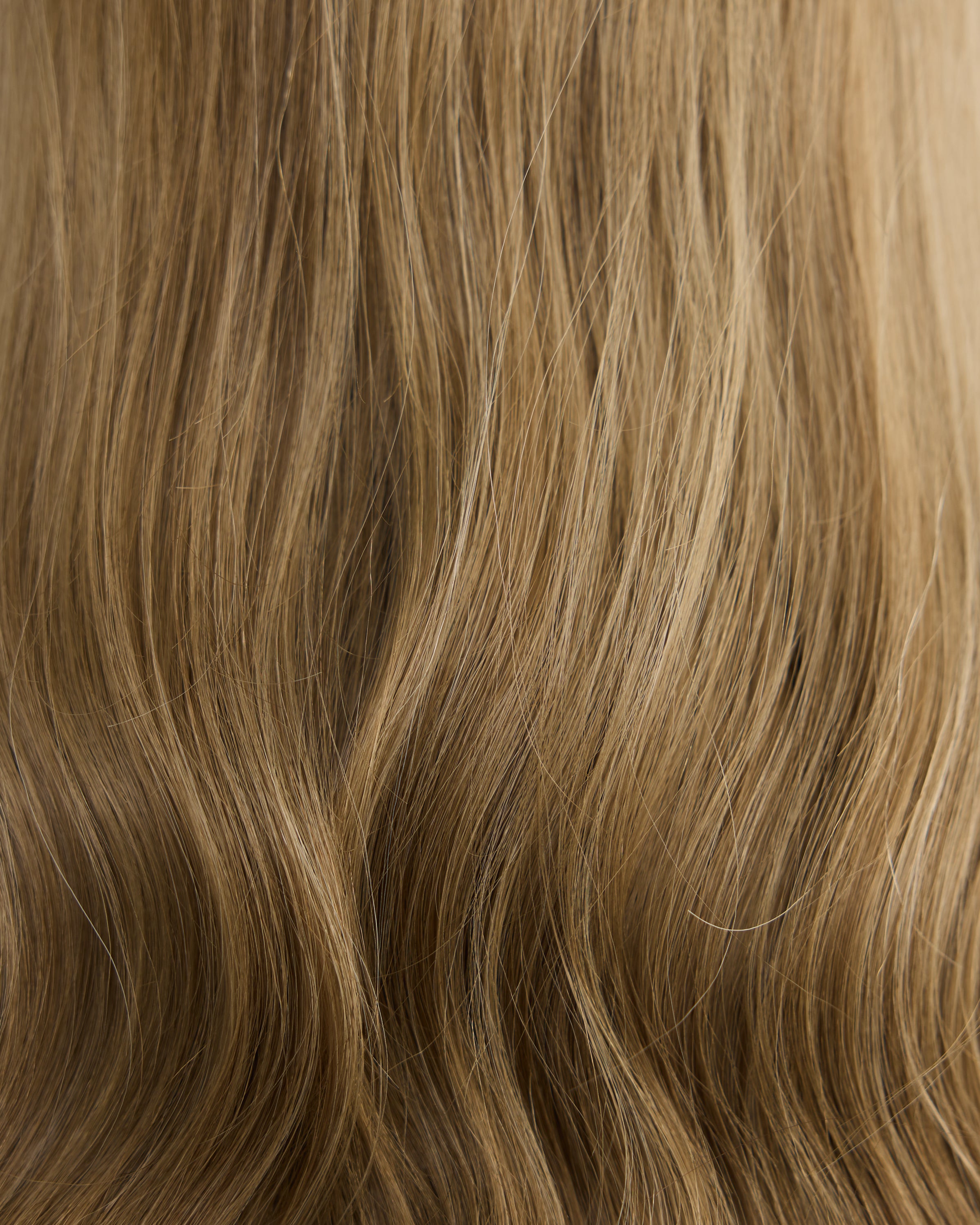Almond Haze Lace Wig - Medium / 22 inch // Exclusive