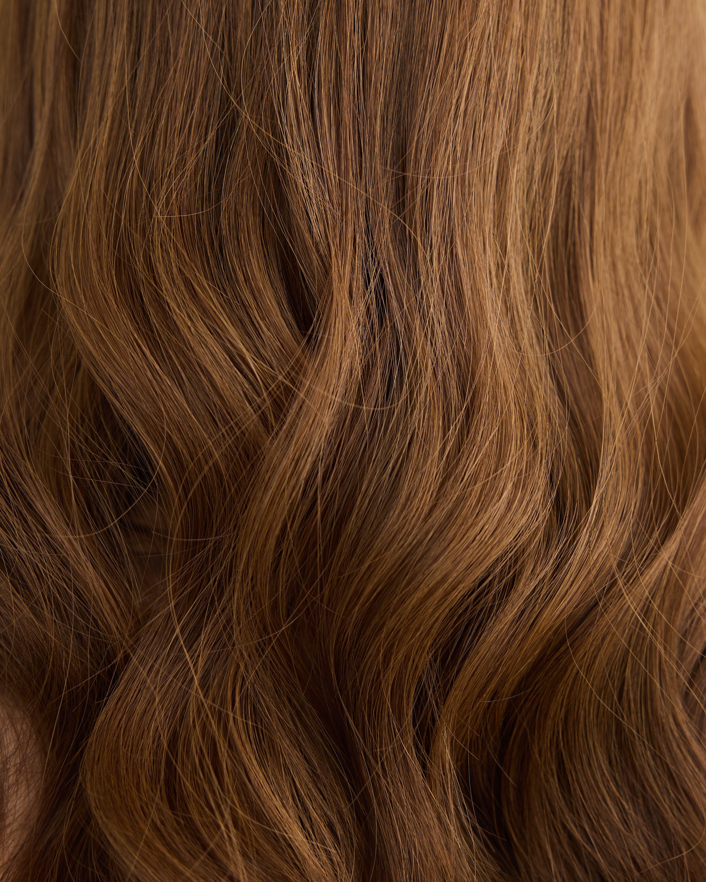 Chestnut Brunette // Lusta Silk Topper