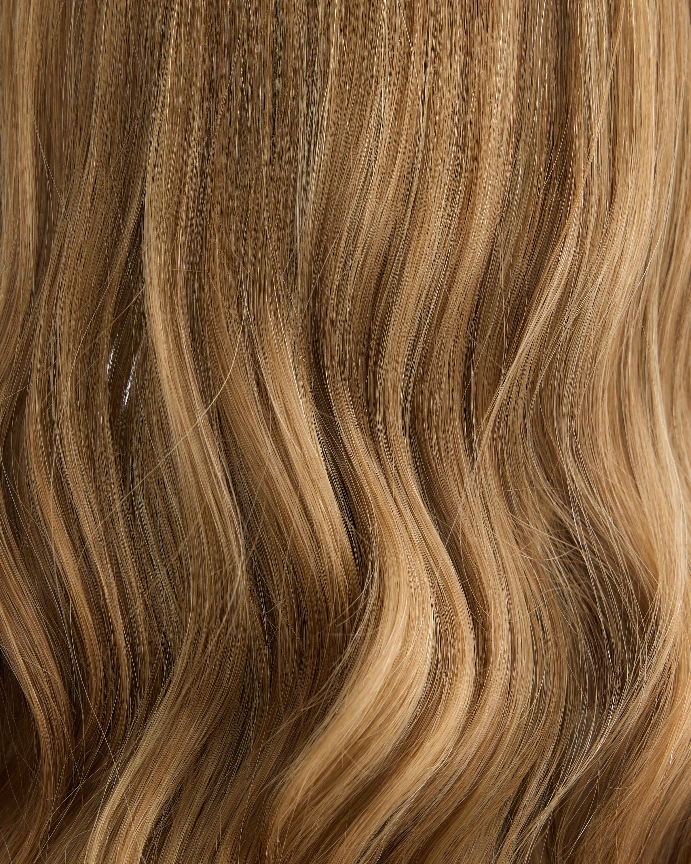 Walnut Blonde // The Lusta Lace Wig
