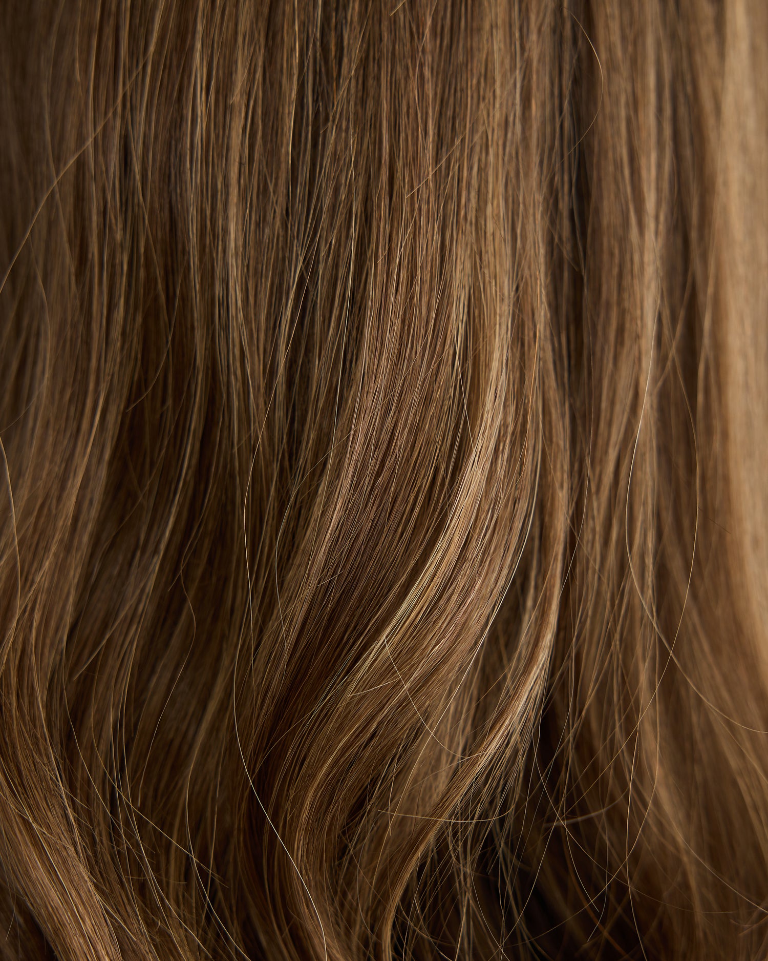 DREAMY BALAYAGE BRUNETTE // GAME CHANGER WIG // 16 INCHES // M CAP