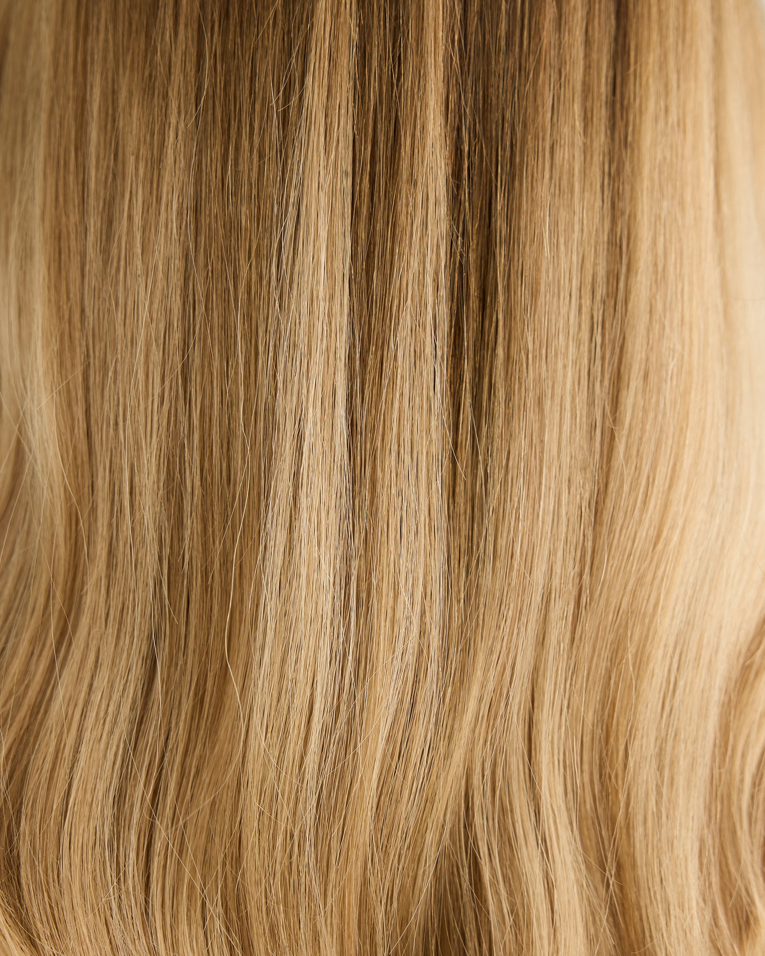 LIGHT SUNKISSED BALAYAGE // GAME CHANGER WIG // 24 INCHES // M CAP